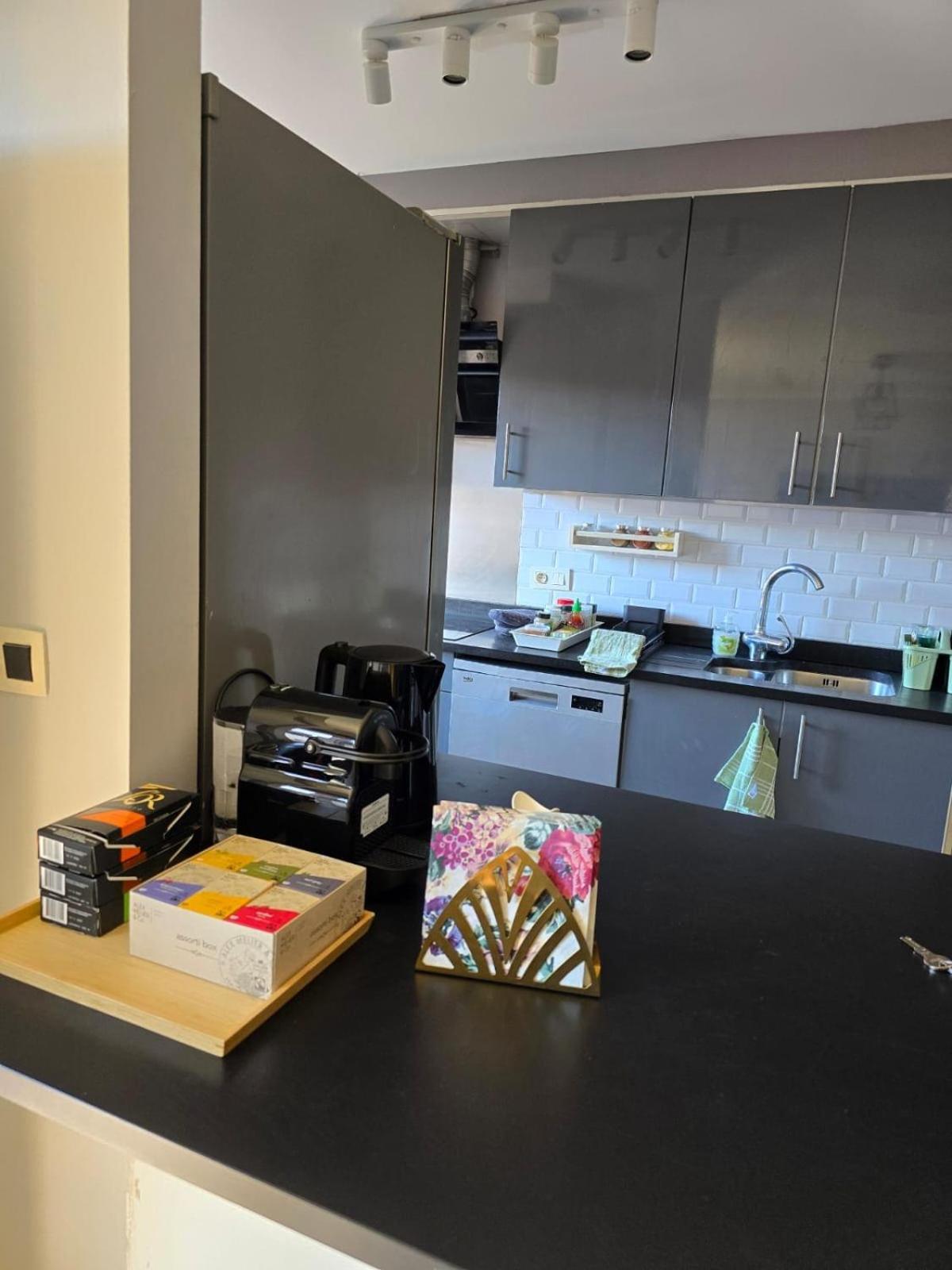 Strelitzyahouse Apartman Brüsszel Kültér fotó